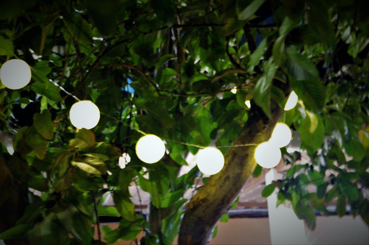 סלבאדור Red River Hostel מראה חיצוני תמונה